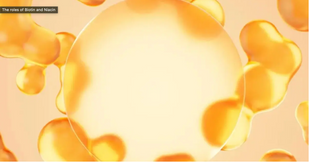 BIOTIN